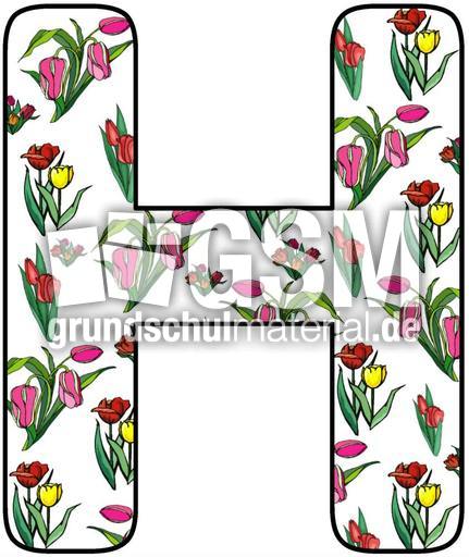 Tulpen-Buchstabe-H.jpg